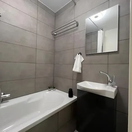 1 Zimmer-apartment Im Zentrum