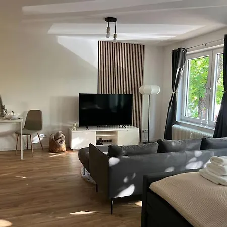 Apartment 1 Zimmer-apartment Im Zentrum