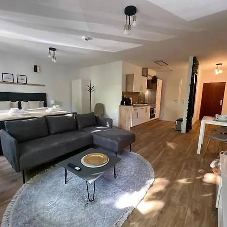 1 Zimmer-apartment Im Zentrum