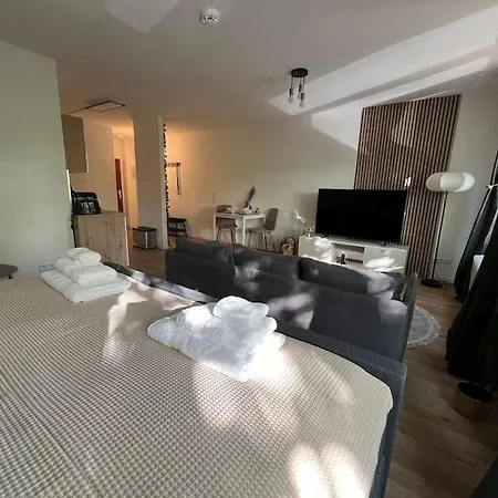 Apartament 1 Zimmer-apartment Im Zentrum *