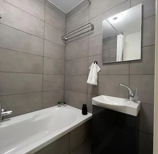 1 Zimmer-apartment Im Zentrum